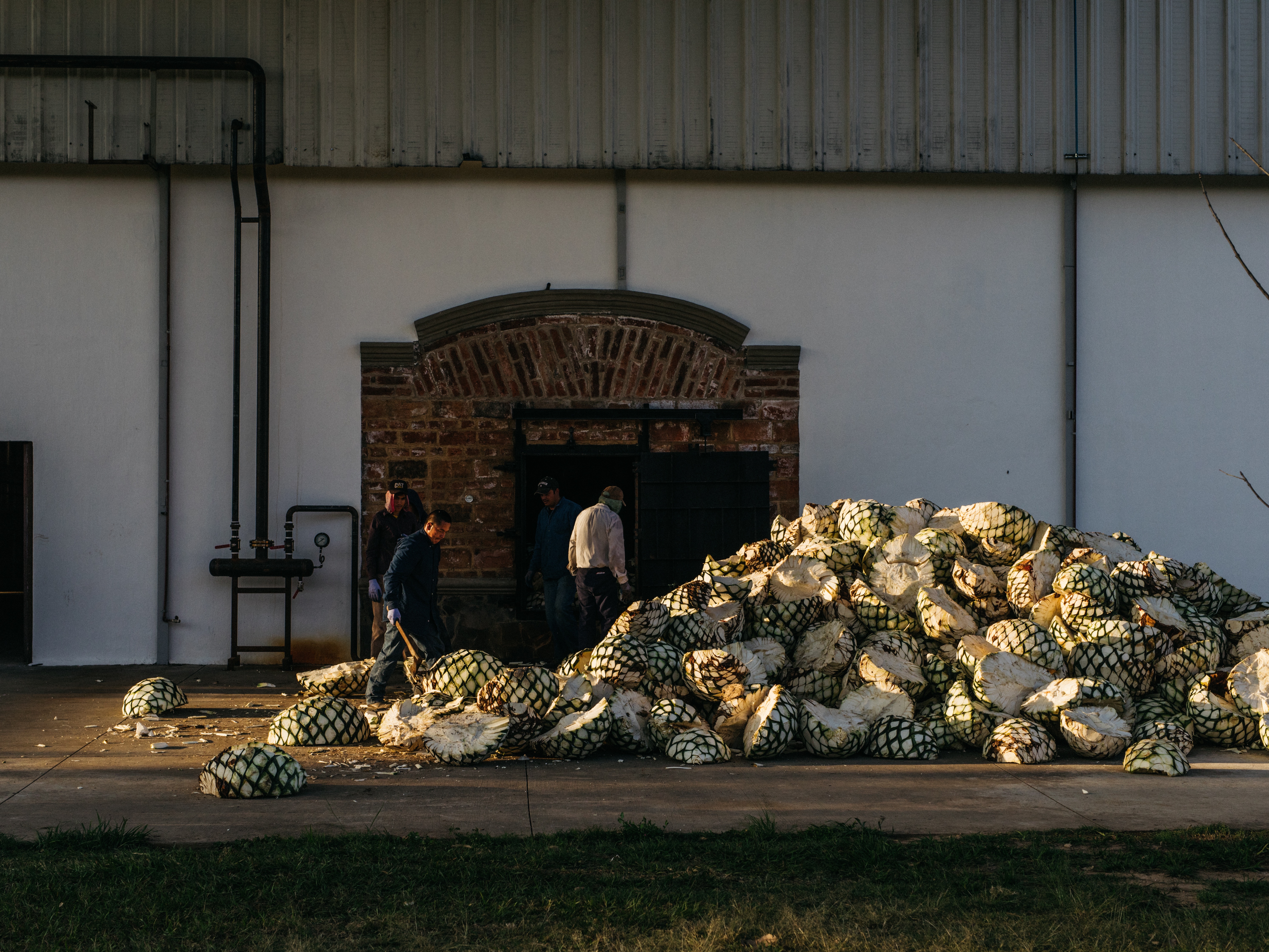 Volcan de mi Tierra、高級シャンパン、サヴォアフェール - ワイン